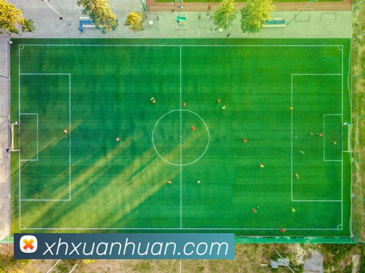 赛事专题整合